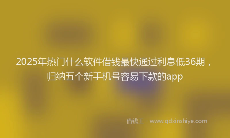 2025年热门什么软件借钱最快通过利息低36期，归纳五个新手机号容易下款的app
