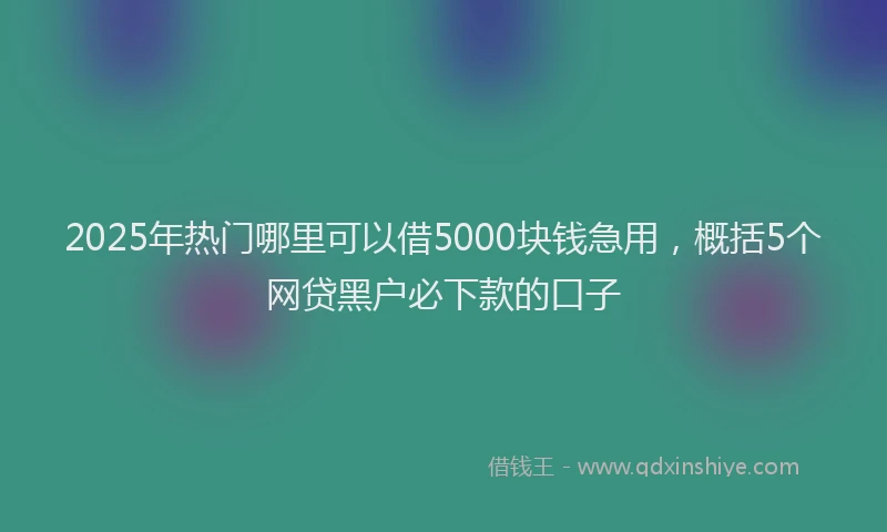 2025年热门哪里可以借5000块钱急用，概括5个网贷黑户必下款的口子