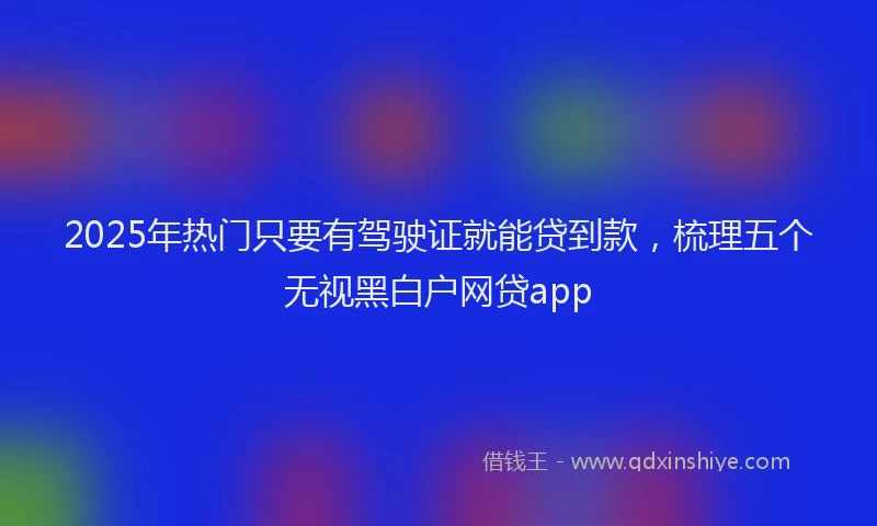 2025年热门只要有驾驶证就能贷到款，梳理五个无视黑白户网贷app