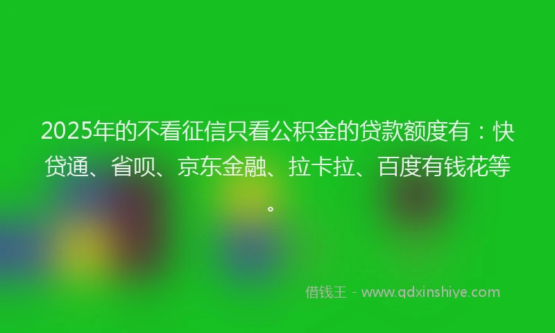 2025年的不看征信只看公积金的贷款额度有：快贷通、省呗、京东金融、拉卡拉、百度有钱花等。