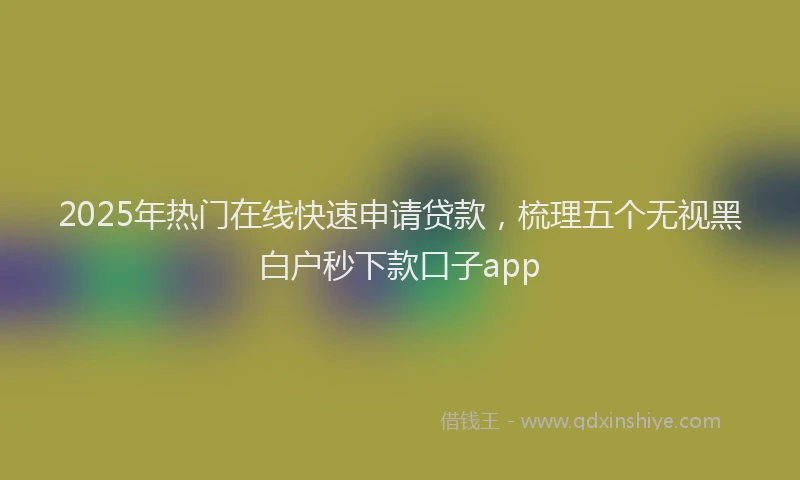 2025年热门在线快速申请贷款，梳理五个无视黑白户秒下款口子app