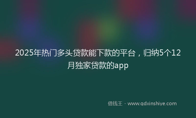 2025年热门多头贷款能下款的平台，归纳5个12月独家贷款的app