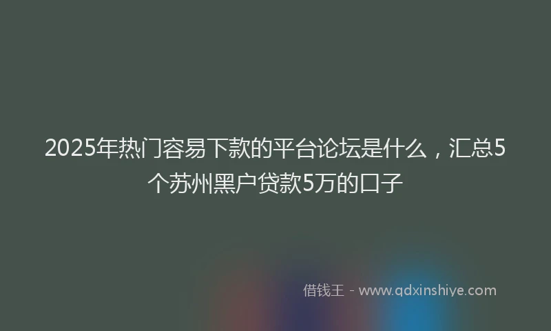 2025年热门容易下款的平台论坛是什么，汇总5个苏州黑户贷款5万的口子