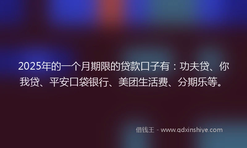 2025年的一个月期限的贷款口子有：功夫贷、你我贷、平安口袋银行、美团生活费、分期乐等。