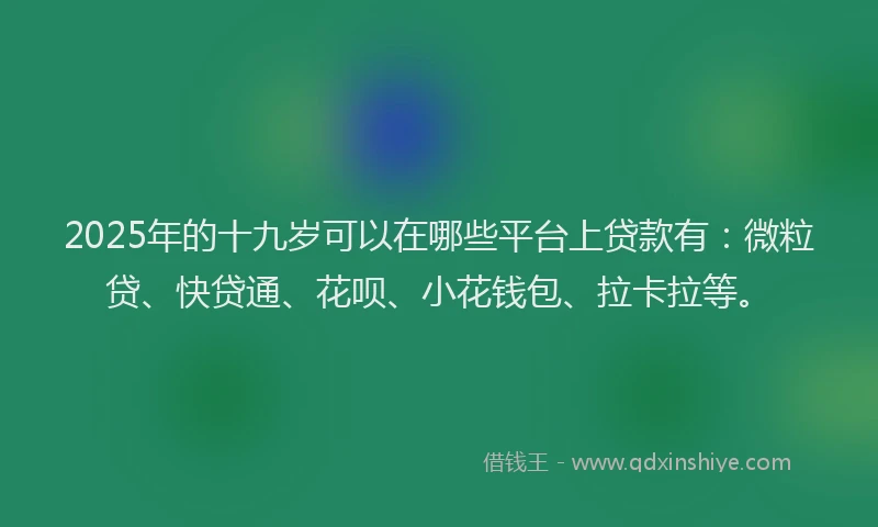 2025年的十九岁可以在哪些平台上贷款有：微粒贷、快贷通、花呗、小花钱包、拉卡拉等。