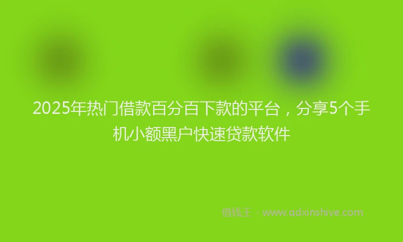 2025年热门借款百分百下款的平台，分享5个手机小额黑户快速贷款软件