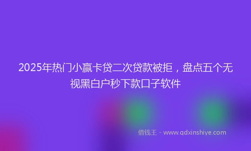 2025年热门小赢卡贷二次贷款被拒，盘点五个无视黑白户秒下款口子软件