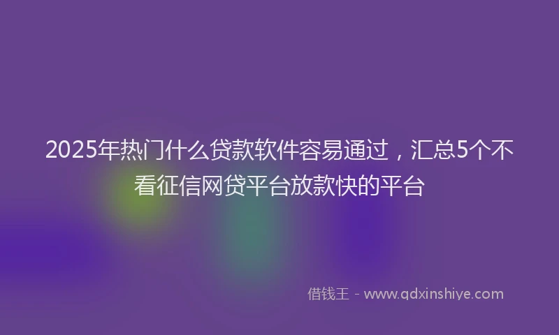 2025年热门什么贷款软件容易通过，汇总5个不看征信网贷平台放款快的平台
