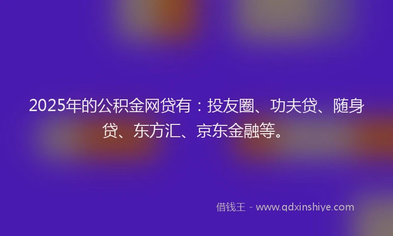 2025年的公积金网贷有：投友圈、功夫贷、随身贷、东方汇、京东金融等。