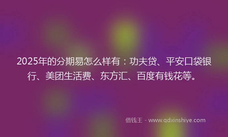 2025年的分期易怎么样有：功夫贷、平安口袋银行、美团生活费、东方汇、百度有钱花等。