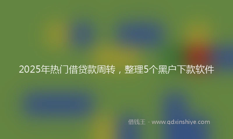 2025年热门借贷款周转，整理5个黑户下款软件