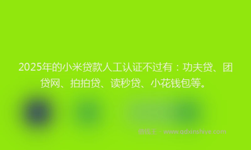 2025年的小米贷款人工认证不过有：功夫贷、团贷网、拍拍贷、读秒贷、小花钱包等。