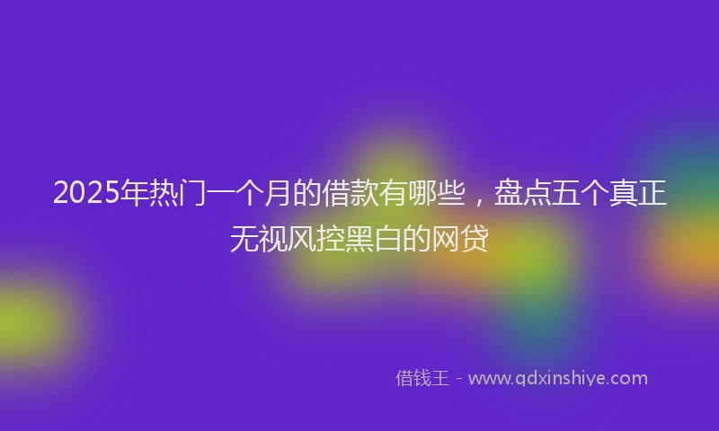 2025年热门一个月的借款有哪些，盘点五个真正无视风控黑白的网贷