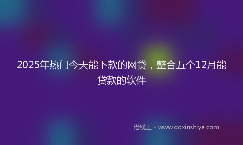 2025年热门今天能下款的网贷，整合五个12月能贷款的软件
