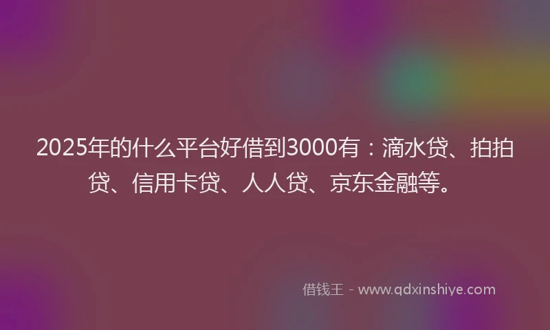 2025年的什么平台好借到3000有：滴水贷、拍拍贷、信用卡贷、人人贷、京东金融等。