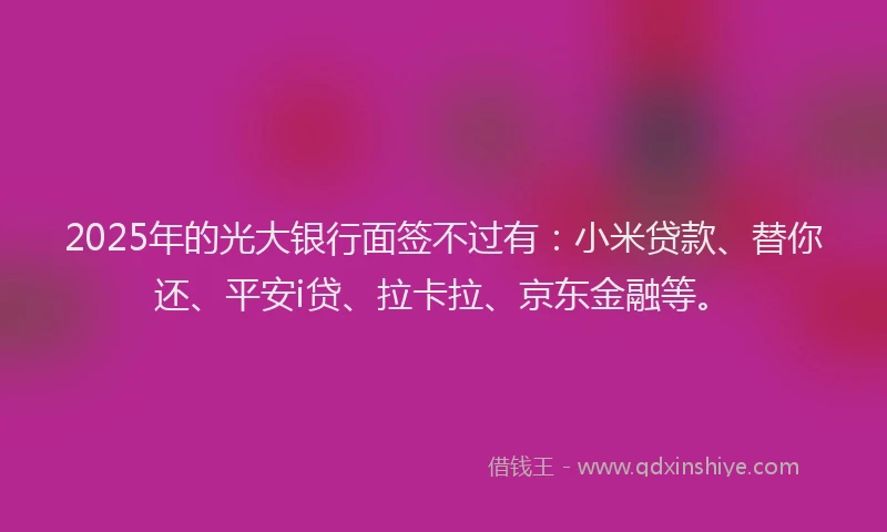 2025年的光大银行面签不过有：小米贷款、替你还、平安i贷、拉卡拉、京东金融等。