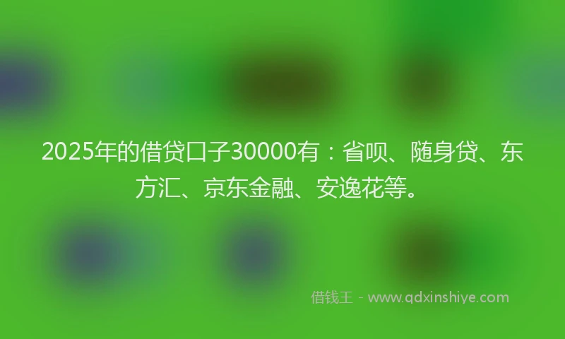 2025年的借贷口子30000有：省呗、随身贷、东方汇、京东金融、安逸花等。