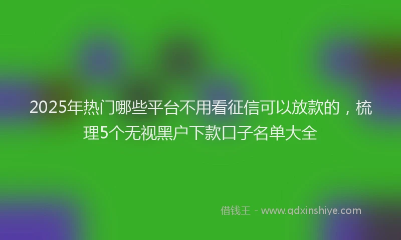 2025年热门哪些平台不用看征信可以放款的，梳理5个无视黑户下款口子名单大全