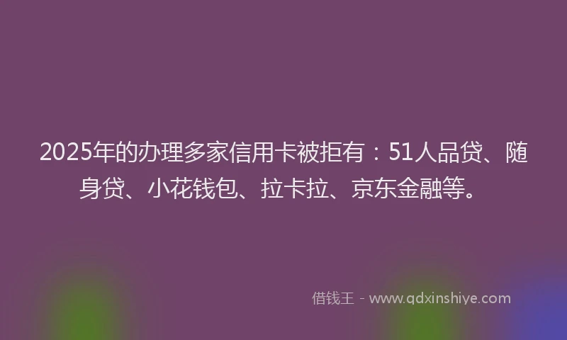 2025年的办理多家信用卡被拒有：51人品贷、随身贷、小花钱包、拉卡拉、京东金融等。