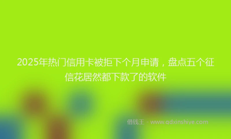 2025年热门信用卡被拒下个月申请，盘点五个征信花居然都下款了的软件