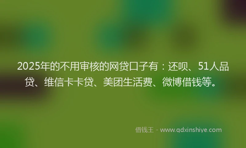 2025年的不用审核的网贷口子有：还呗、51人品贷、维信卡卡贷、美团生活费、微博借钱等。