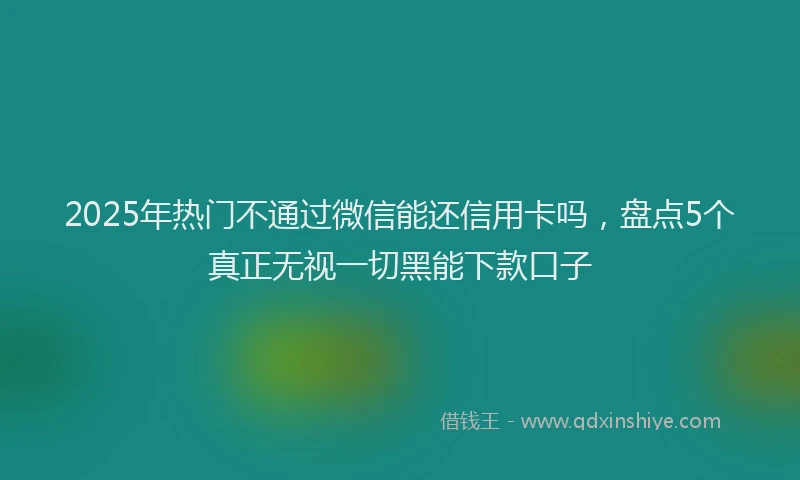 2025年热门不通过微信能还信用卡吗，盘点5个真正无视一切黑能下款口子