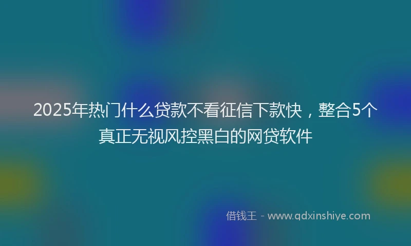 2025年热门什么贷款不看征信下款快，整合5个真正无视风控黑白的网贷软件
