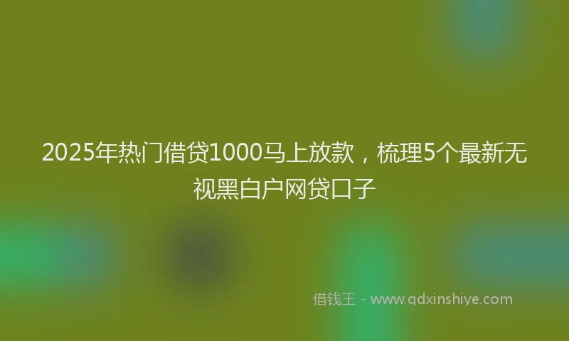 2025年热门借贷1000马上放款，梳理5个最新无视黑白户网贷口子