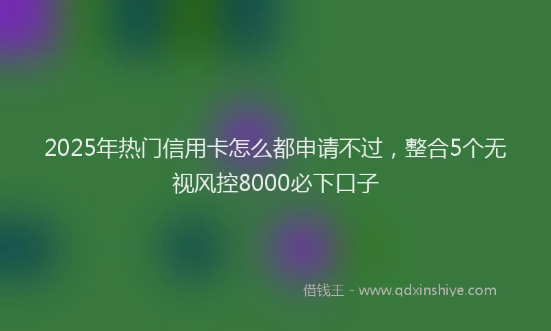 2025年热门信用卡怎么都申请不过，整合5个无视风控8000必下口子