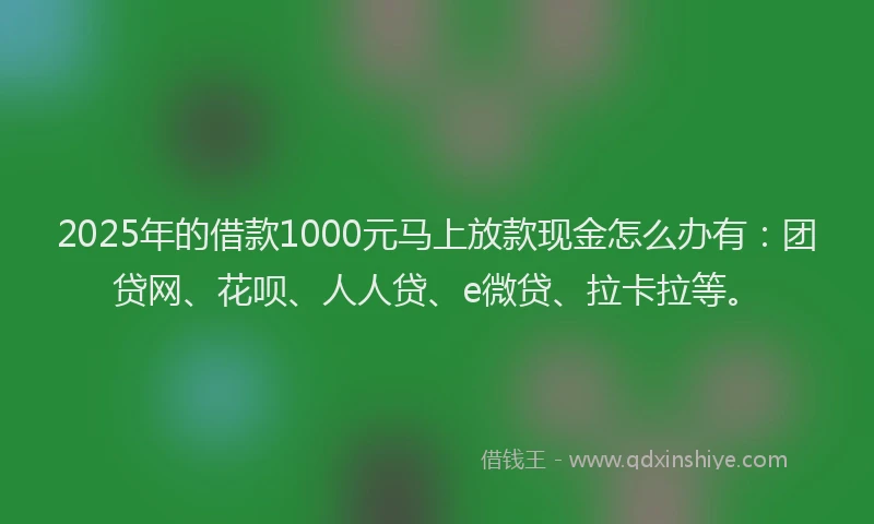 2025年的借款1000元马上放款现金怎么办有：团贷网、花呗、人人贷、e微贷、拉卡拉等。