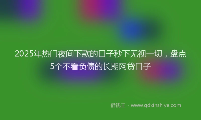 2025年热门夜间下款的口子秒下无视一切，盘点5个不看负债的长期网贷口子