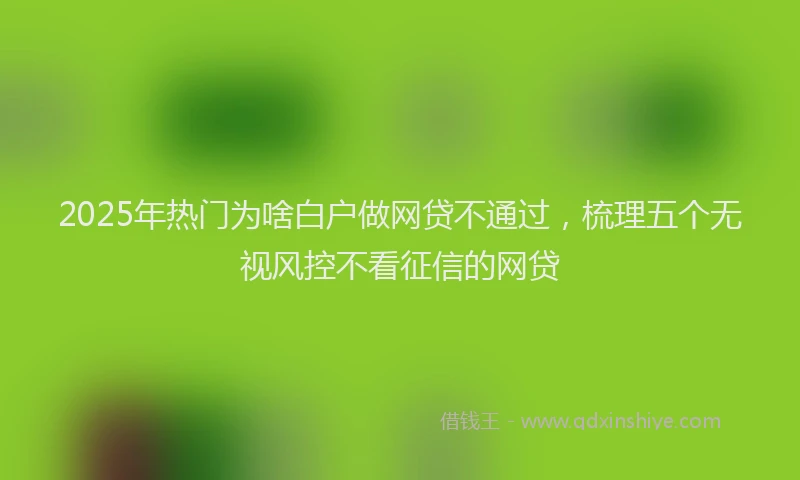 2025年热门为啥白户做网贷不通过，梳理五个无视风控不看征信的网贷