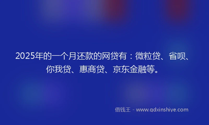 2025年的一个月还款的网贷有：微粒贷、省呗、你我贷、惠商贷、京东金融等。