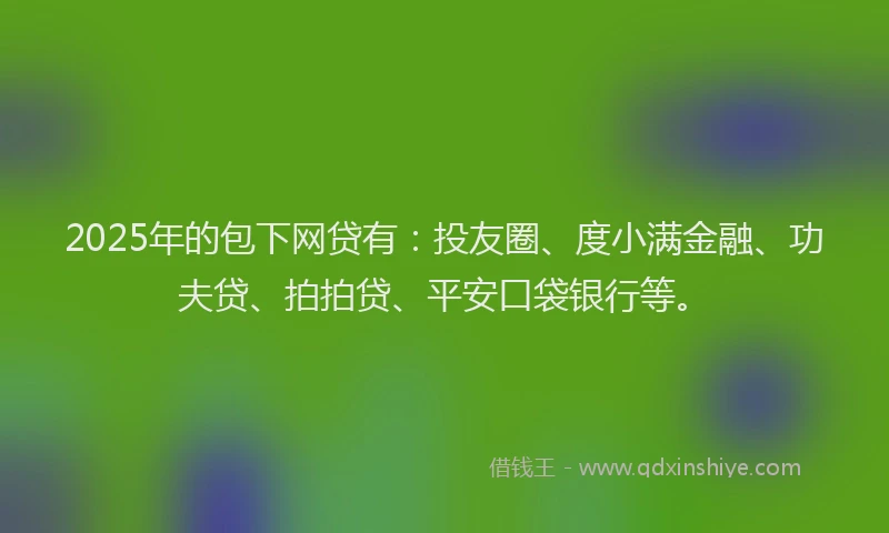 2025年的包下网贷有：投友圈、度小满金融、功夫贷、拍拍贷、平安口袋银行等。