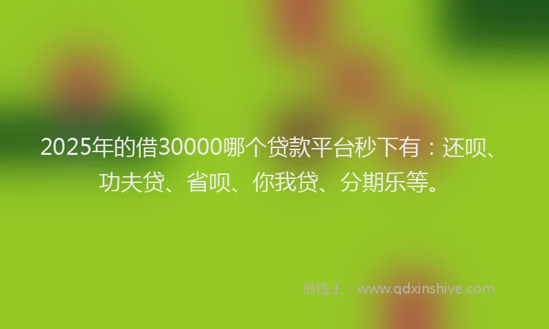 2025年的借30000哪个贷款平台秒下有：还呗、功夫贷、省呗、你我贷、分期乐等。