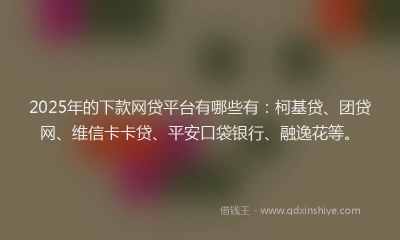 2025年的下款网贷平台有哪些有：柯基贷、团贷网、维信卡卡贷、平安口袋银行、融逸花等。
