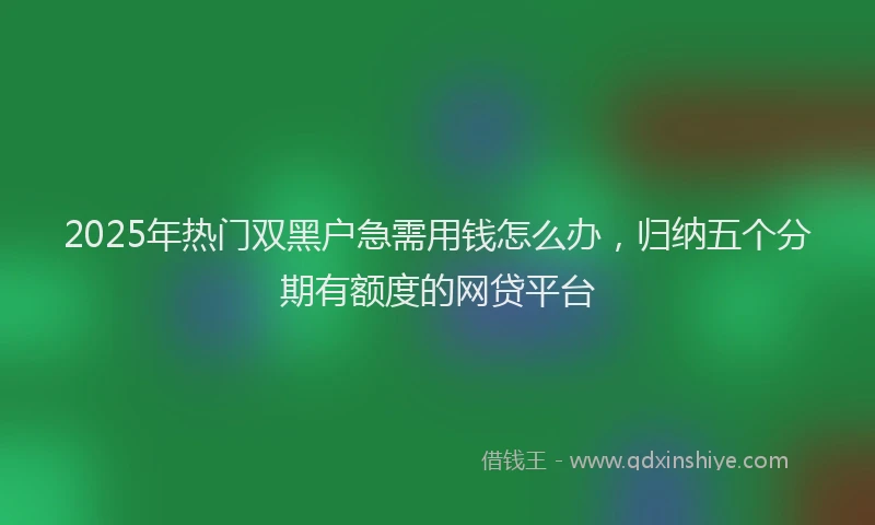 2025年热门双黑户急需用钱怎么办，归纳五个分期有额度的网贷平台