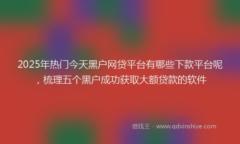 2025年热门今天黑户网贷平台有哪些下款平台呢，梳理五个黑户成功获取大额贷款的软件