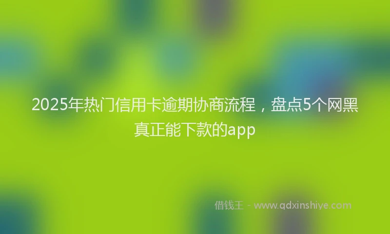 2025年热门信用卡逾期协商流程，盘点5个网黑真正能下款的app