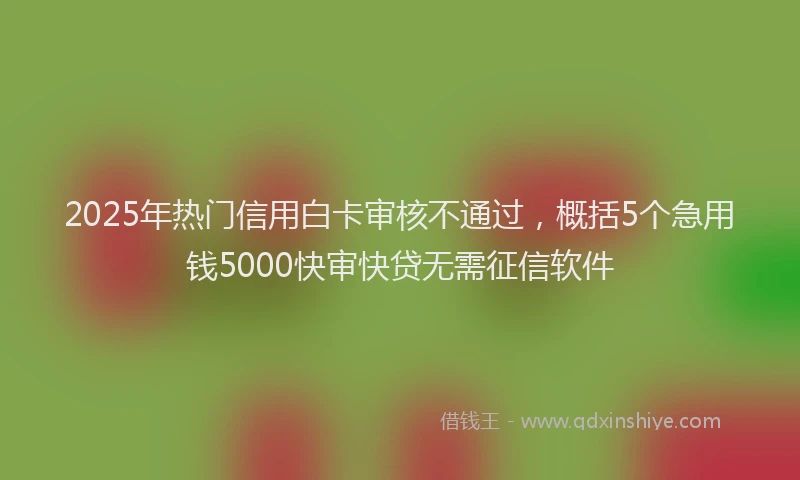 2025年热门信用白卡审核不通过，概括5个急用钱5000快审快贷无需征信软件