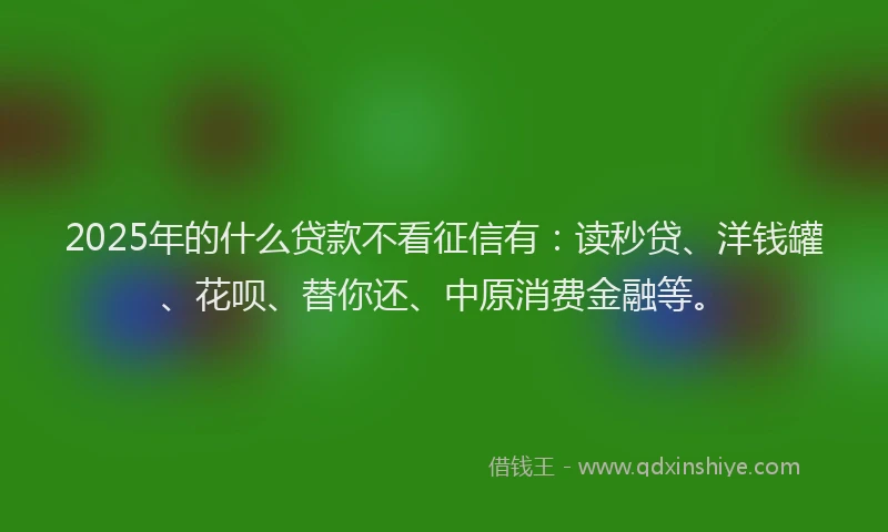 2025年的什么贷款不看征信有：读秒贷、洋钱罐、花呗、替你还、中原消费金融等。