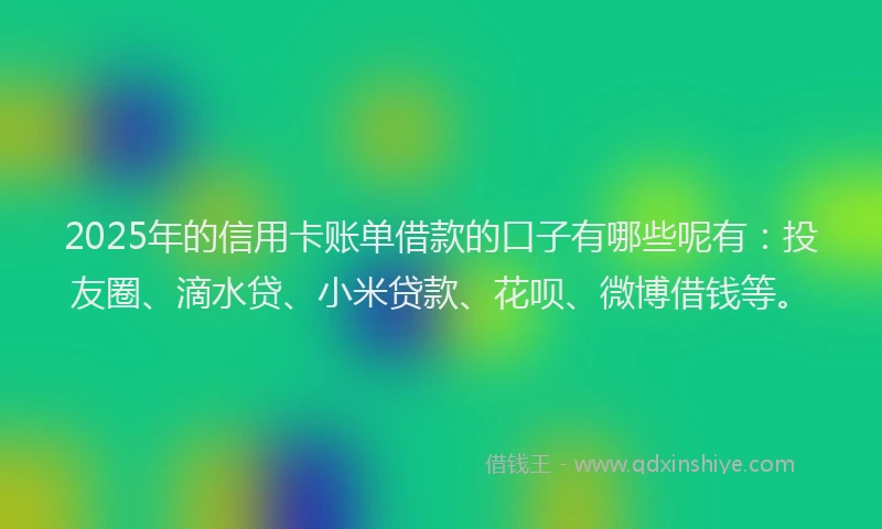 2025年的信用卡账单借款的口子有哪些呢有：投友圈、滴水贷、小米贷款、花呗、微博借钱等。
