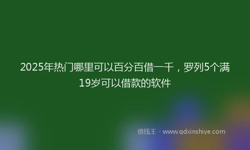 2025年热门哪里可以百分百借一千，罗列5个满19岁可以借款的软件