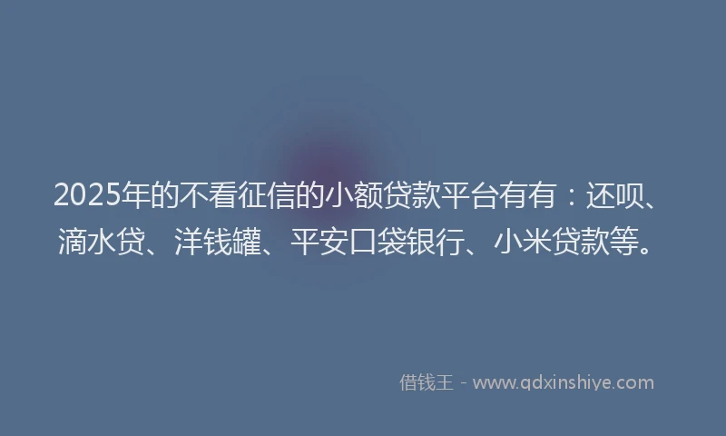 2025年的不看征信的小额贷款平台有有：还呗、滴水贷、洋钱罐、平安口袋银行、小米贷款等。