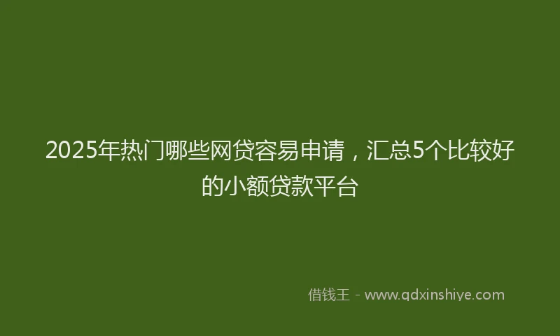 2025年热门哪些网贷容易申请，汇总5个比较好的小额贷款平台
