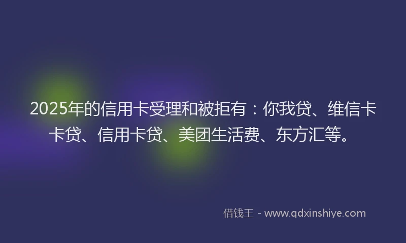 2025年的信用卡受理和被拒有：你我贷、维信卡卡贷、信用卡贷、美团生活费、东方汇等。