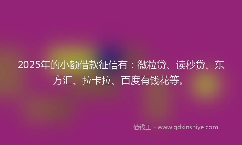 2025年的小额借款征信有：微粒贷、读秒贷、东方汇、拉卡拉、百度有钱花等。