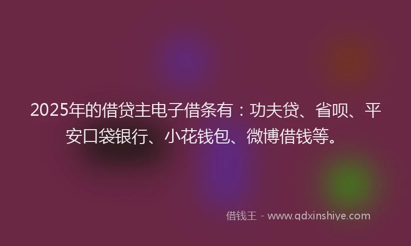2025年的借贷主电子借条有：功夫贷、省呗、平安口袋银行、小花钱包、微博借钱等。