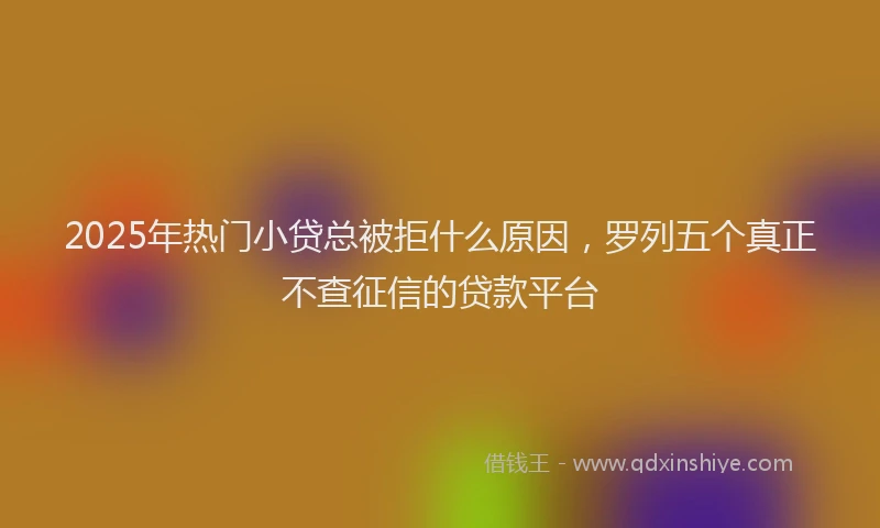2025年热门小贷总被拒什么原因，罗列五个真正不查征信的贷款平台