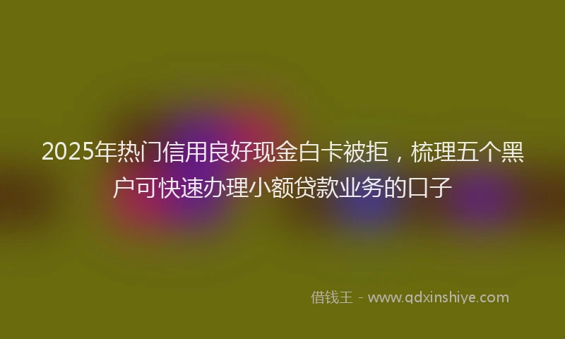 2025年热门信用良好现金白卡被拒，梳理五个黑户可快速办理小额贷款业务的口子